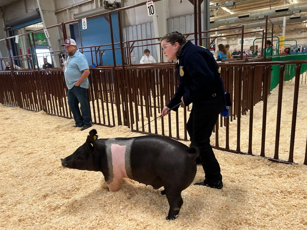 Emma Martin in show ring